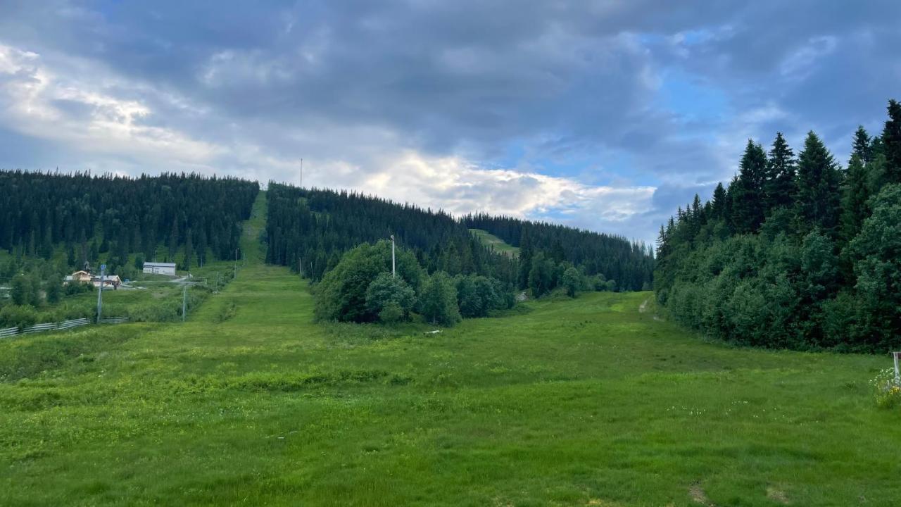 Areskutans Laegenhet Med Laddning Foer Bil 22Kw Appartement Husa Buitenkant foto