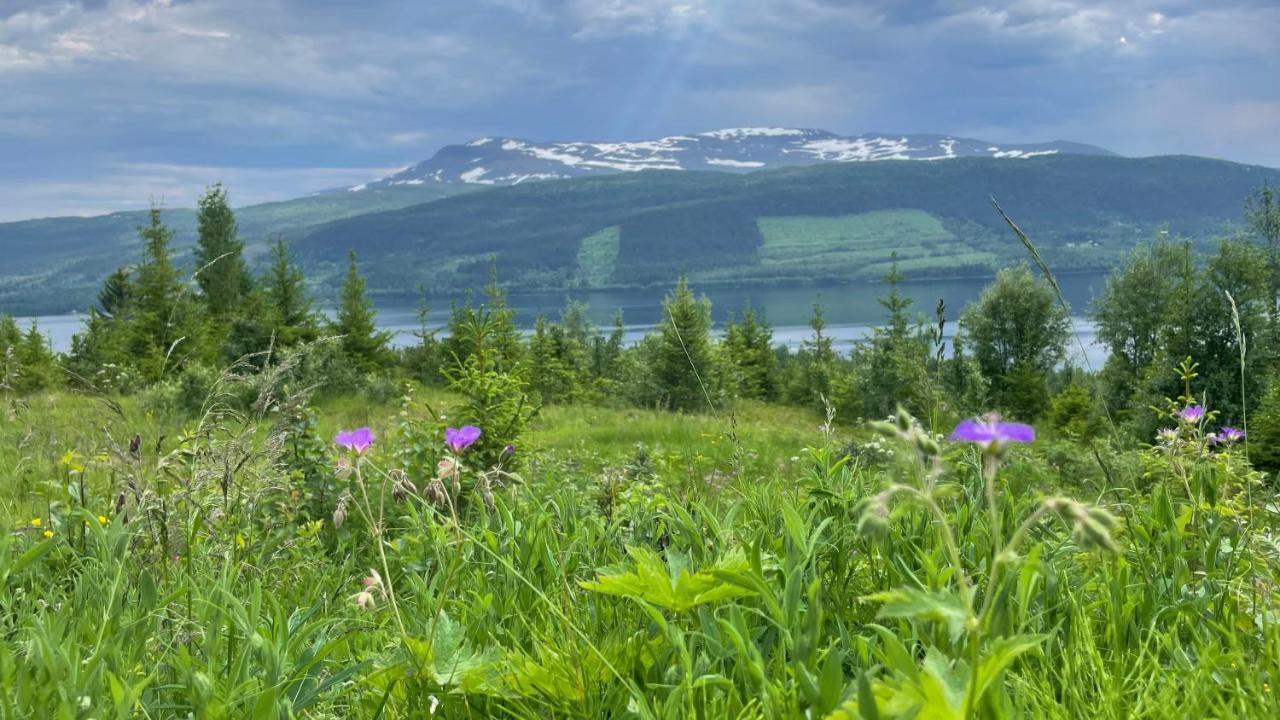 Areskutans Laegenhet Med Laddning Foer Bil 22Kw Appartement Husa Buitenkant foto